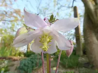P1030730.webp