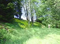 PICT0017.webp