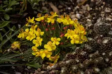 Stg 14-04-14-1727.webp