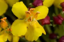 Stg 14-04-14-1728a.webp