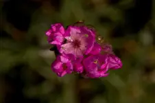 Stg 14-04-14-1733.webp