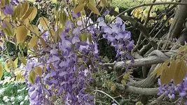 052.webp