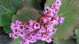 024.webp