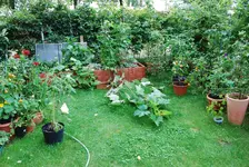 DSC_8917.2.webp