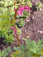 P1010484.webp