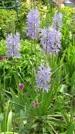 DSCN4641.webp