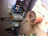 image.webp