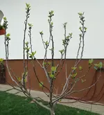 DSC01063.webp