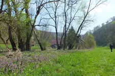 2014_0413Frühling0010.webp