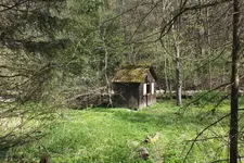 2014_0413Frühling0021.webp