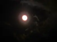 Stürmische Vollmondnacht_0003.webp