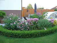 Garten Herbert 005.webp