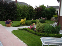 Fotos vom Garten juni 2009 025.webp