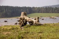 1632.webp