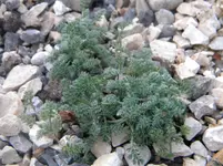 DSCN7059.webp