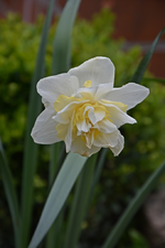 DSC_0752.webp