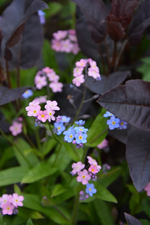 DSC_0755.webp