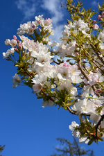 DSC_0778.webp
