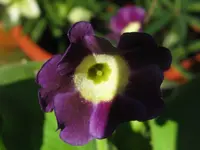 001_1024x768.webp