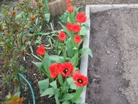 16.4.2014 007.webp