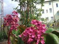 16.4.2014 012.webp