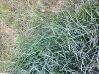 IMG_1928.webp
