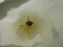 P1040154.webp