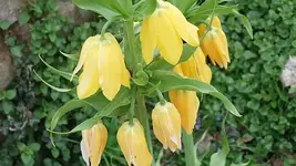068.webp