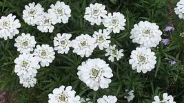 063.webp