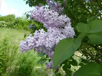 P1040115.webp