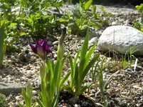 DSCN7065.webp