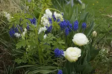 _DSC5669.webp