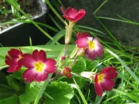 006_1024x768.webp