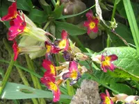 007_1024x768.webp