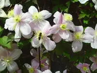 PICT0050.webp