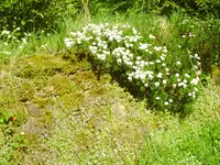 PICT0056.webp