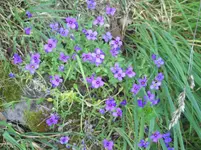 PICT0058.webp