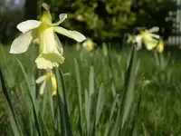 IMGP6097.webp