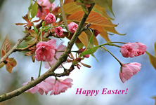 Ostern_2014.webp