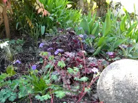 DSCN7000.webp