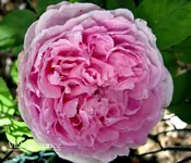 IMG_1398-001.webp