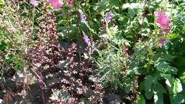 DSCN3208.webp