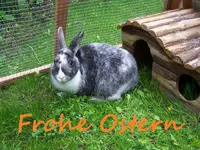 Ostern.webp