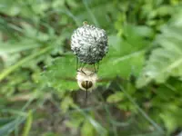 P1040440.webp