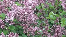 023.webp