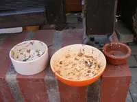 Igelnapf.webp