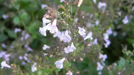 DSCN5414.webp