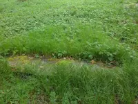 SAM_3608.webp