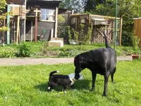 HPIM0386.webp