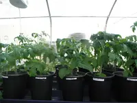 DSCF7715.webp